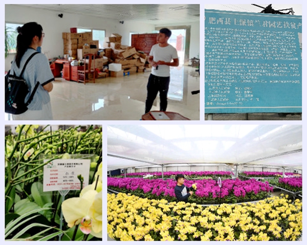 0dd5f355e63a45ffb01bdcdb0ad04ec7.jpg NeoImage_副本.jpg