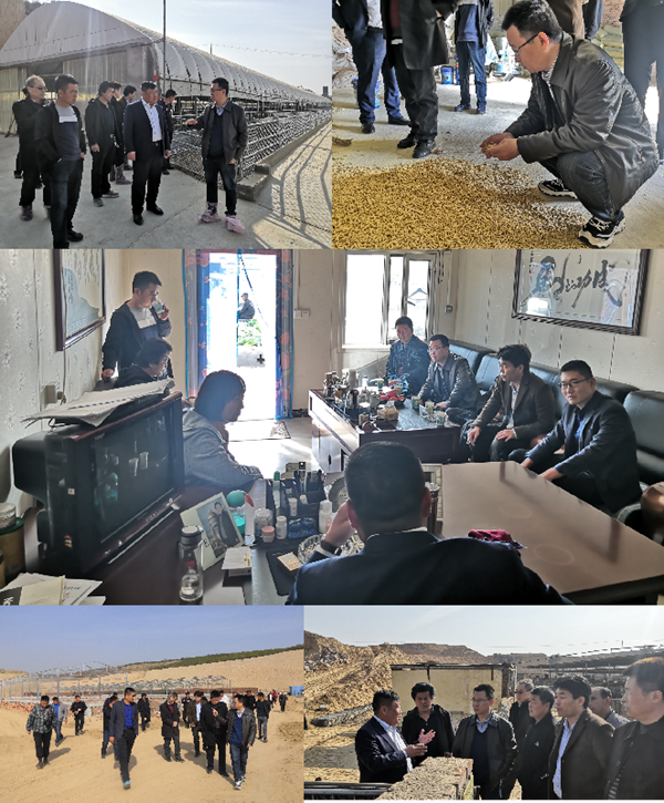 06551f3987934845b5ce13528d29c3fd.png 6.png