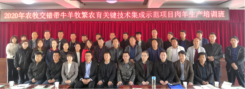 502beeb0c2974f8eaf2657f76fa8ac0a.png 1.png