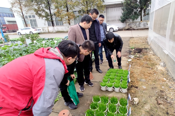 10d3aee781814b81b9b1befb80251f68.jpg QQ图片20201108205951.jpg