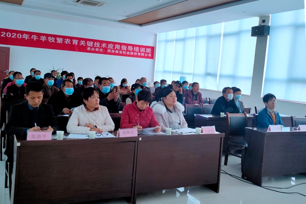 b0a4c7e6b10747f68ee2efcddcc3b6d1.jpg 培训现场终版.jpg