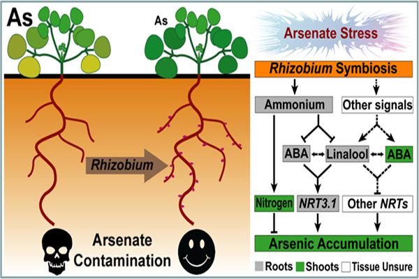 e7920dbcabbb401086f916f9419b79a4.jpg _副本_副本_副本.jpg