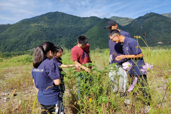 94b3469befca498cb046ae83b58338ff.png 实地考察_副本.png